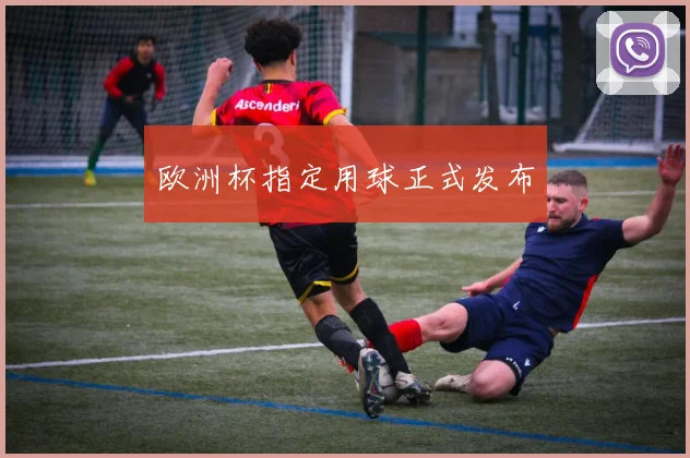 欧洲杯指定用球正式发布