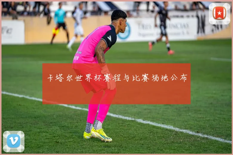 卡塔尔世界杯赛程与比赛场地公布
